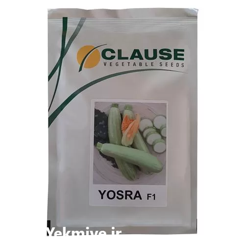 قیمت خرید بذر کدو یسری هیبرید در هرمز در گروه خرید و فروش بذر کدو در یکمیوه -عکس1