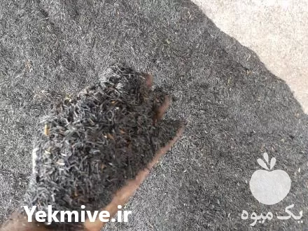 خرید شلتوک برنج پوسته برنج در گروه خرید و فروش محصولات کشاورزی در یکمیوه -عکس1