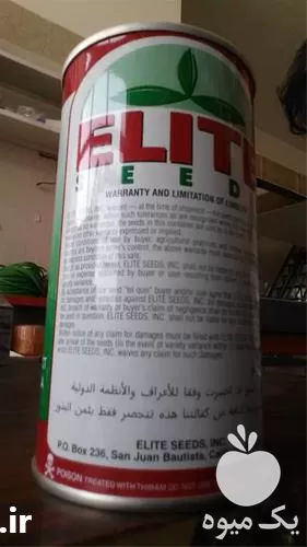 قیمت خرید بذر هندوانه خطی الیت در آذربایجان شرقی در گروه خرید و فروش بذر هندوانه در یکمیوه -عکس1