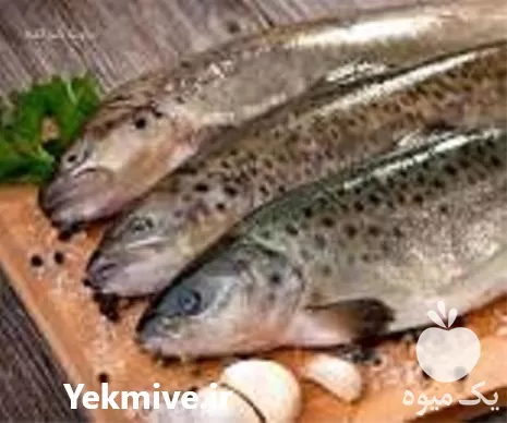 آموزش پرورش ماهی قزل آلا در گروه دوره آموزش کشاورزی در یکمیوه -عکس1