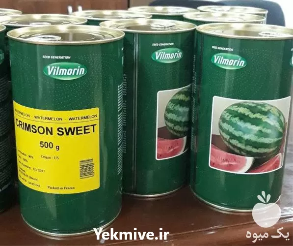 بذر هندوانه زودرس دارای بوته ای در گروه خرید و فروش بذر هندوانه در یکمیوه -عکس1