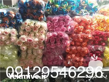 قیمت خرید گل رز در تهران در گروه خرید و فروش گیاهان زینتی در یکمیوه -عکس1
