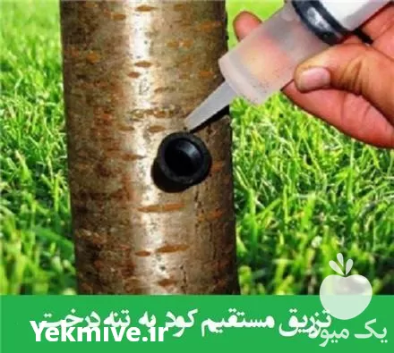 مشاوره تخصصی کشاورزی و باغبانی در تهران در گروه مشاوره گیاه پزشکی در یکمیوه -عکس1