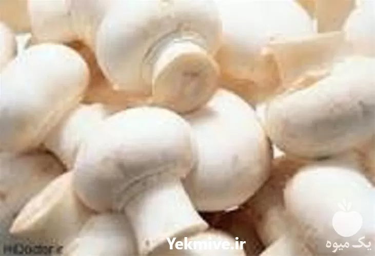 پرورش قارچ دکمه ای و خوراکی در تهران در گروه دوره آموزش کشاورزی در یکمیوه -عکس1