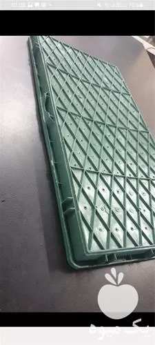 قیمت خرید سینی نشا سبز در گروه خرید و فروش نشا در یکمیوه -عکس1