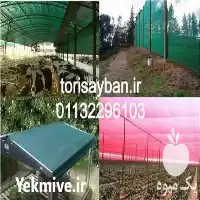 قیمت شید گلخانه و توری سایبان در گروه خرید و فروش توری گلخانه در یکمیوه