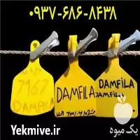 تولید و فروش پلاک گوش دام در تهران در گروه تجهیزات دامداری در یکمیوه