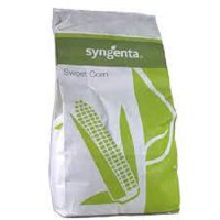 بذر ذرت اکسن چوئیت در فارس در گروه خرید و فروش بذر ذرت در یکمیوه