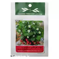 بذر توت فرنگی مینیاتوری با کیفیت در گروه خرید و فروش انواع بذر در یکمیوه