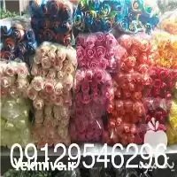 قیمت خرید گل رز در تهران در گروه خرید و فروش گیاهان زینتی در یکمیوه