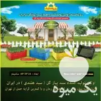 فروش انواع سبد پلاستیکی کود ورمی در تهران در گروه خرید و فروش انواع سبد در یکمیوه