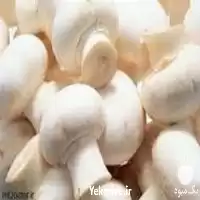 پرورش قارچ دکمه ای و خوراکی در تهران در گروه دوره آموزش کشاورزی در یکمیوه