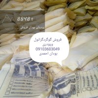 فروش گوگرد گرانول و پودری در تیران در گروه خرید و فروش کود گوگرد در یکمیوه