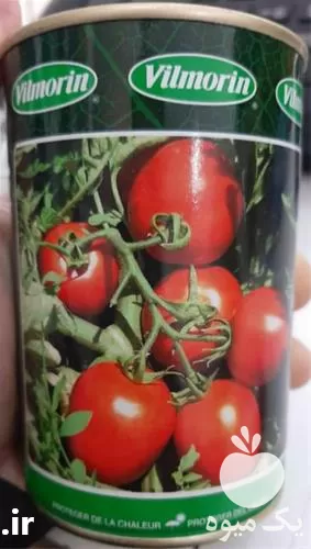 بذر گوجه فرنگی ویلمورین اصل شرکتی در بوشهر در گروه خرید و فروش بذر گوجه در یکمیوه -عکس1