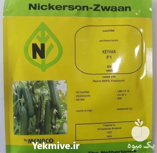 خرید بذر خیار گلخانه ای کیهان در گروه خرید و فروش بذر خیار در یکمیوه -عکس1