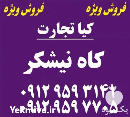 قیمت خرید کاه نیشکر در تهران در گروه خوراک دام و طیور در یکمیوه -عکس1