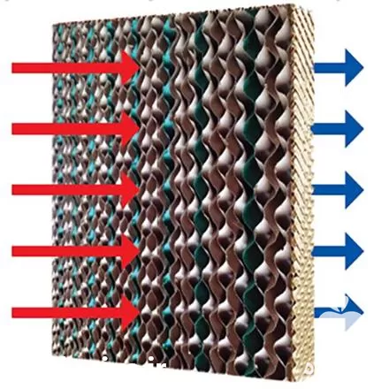 فروش سیستم خنک کننده مرغداری در گروه خرید و فروش تجهیزات گلخانه در یکمیوه -عکس1