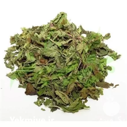 فروش عمده بادرنجبویه پایار تجارت زمردین در بروجرد در گروه خرید و فروش میوه خشک در یکمیوه -عکس1