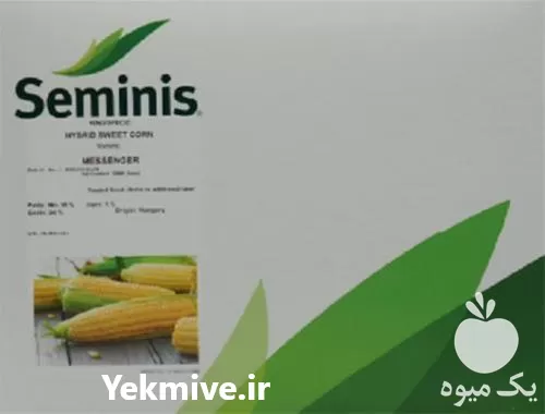 خرید بذر ذرت شیرین مسنجر سمینیس در گروه خرید و فروش بذر ذرت در یکمیوه -عکس1