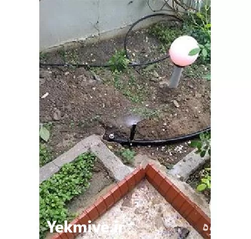 طراحی اجرای آبیاری قطره ای بارانی در گروه خرید و فروش دستگاه آبیاری در یکمیوه -عکس1