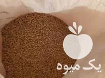 فروش نخود بذر درجه یک در حسن آباد در گروه خرید و فروش نخود در یکمیوه -عکس1