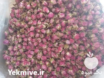 فروش غنچه گل محمدی در داراب در گروه خرید و فروش گیاهان دارویی در یکمیوه -عکس1