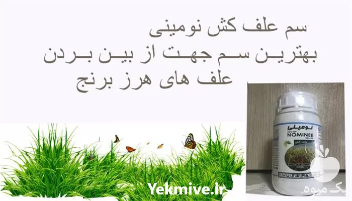قیمت خرید قیمت سم علف کش در آذربایجان غربی در گروه خرید و فروش انواع سم در یکمیوه -عکس1