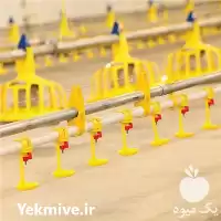 فروش سیستم آبخوری نیپل سوپر در گروه تجهیزات مرغداری در یکمیوه