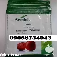 بذر گوجه بریویو پرفروش و اصل در اصفهان در گروه خرید و فروش بذر گوجه در یکمیوه