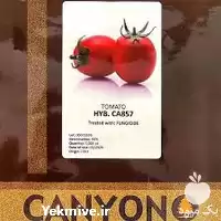 خرید بذر گوجه فرنگی کانیون بذر گوجه در آذربایجان غربی در گروه خرید و فروش بذر گوجه در یکمیوه