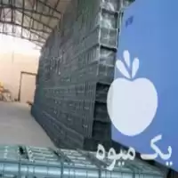 خرید سبد میوه هلو آلو سیب در میاندوآب در گروه خرید و فروش انواع سبد در یکمیوه