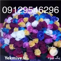 قیمت خرید عمده گل رز هلندی در تهران در گروه خرید و فروش گیاهان زینتی در یکمیوه