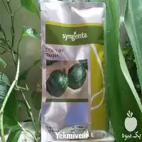 فروش و عرضه بذر هندوانه تاپگان در کرمان  در گروه خرید و فروش بذر هندوانه در یکمیوه