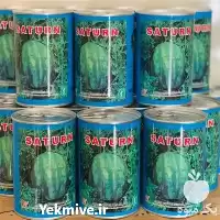 فروش بذر هندوانه میکادو خطی در خوزستان در گروه خرید و فروش بذر هندوانه در یکمیوه