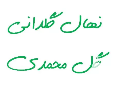 قیمت خرید نهال گلدانی گل محمدی در شاهرود در گروه خرید و فروش نهال گل محمدی در یکمیوه -عکس1