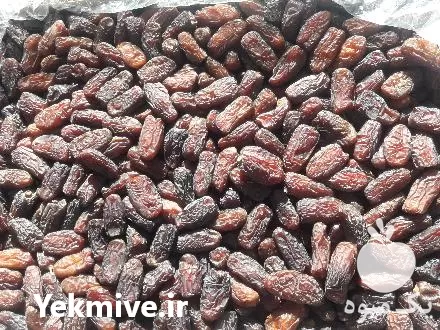 قیمت خرید عمده خرمای پیارم در گروه خرید و فروش خرما در یکمیوه -عکس1
