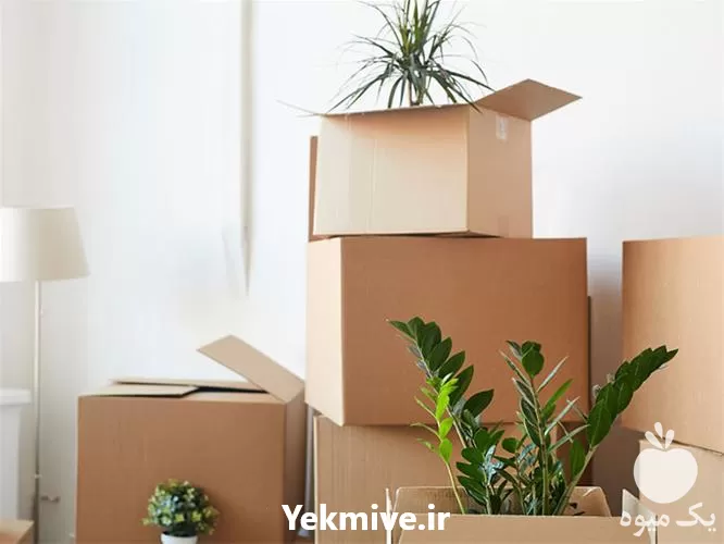 خرید خاک برای تمامی گل گیاهان در گروه انواع محصولات خاک و تغذیه در یکمیوه -عکس1