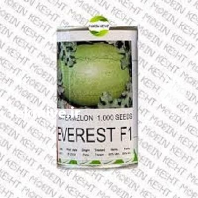 بذر هندوانه اورست در فارس در گروه خرید و فروش بذر هندوانه در یکمیوه -عکس1