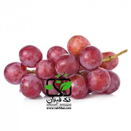 خرید و قیمت نهال انگور ردگلوب در آذربایجان غربی در گروه خرید و فروش نهال انگور در یکمیوه -عکس1