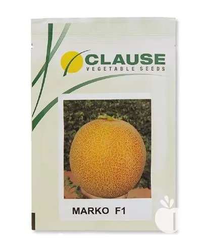 فروش بذر خربزه گالیا مارکو کلوز در گروه خرید و فروش بذر خربزه در یکمیوه -عکس1