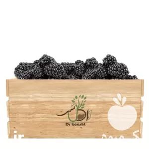 فروش نهال بلک بری در قم در گروه خرید و فروش نهال در یکمیوه -عکس1
