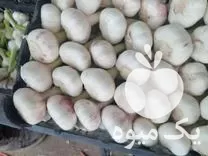 قیمت خرید عمده بار بازرگانی مغانه در اردبیل در گروه انواع خشکبار در یکمیوه -عکس1