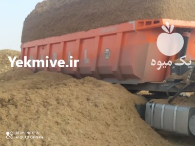 مرکز فروش کاه نیشکر در گروه خوراک دام و طیور در یکمیوه -عکس2