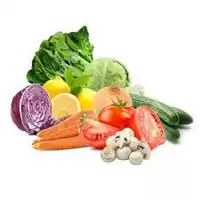 آموزشی پرورش صیفی جات در گروه دوره آموزش کشاورزی در یکمیوه