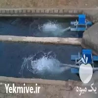 خرید انواع مختلف تجهیزات هوادهی ماهی در گروه خرید و فروش تجهیزات ماهی در یکمیوه