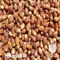 قیمت خرید خرمای زاهدی درجه یک در فراشبند