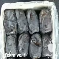 فروش عمده خرمای مضافتی درجه یک در فارس