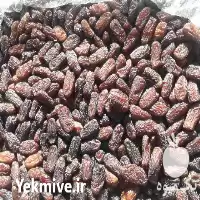 قیمت خرید عمده خرمای پیارم