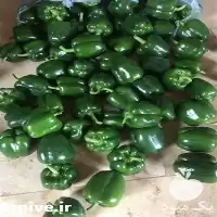 قیمت خرید بذر فلفل دلمه 9325 در کردستان در گروه خرید و فروش فلفل در یکمیوه