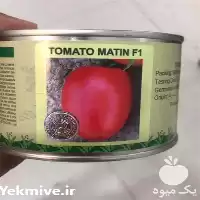 قیمت خرید بذر گوجه فرنگی در قزوین در گروه خرید و فروش بذر گوجه در یکمیوه